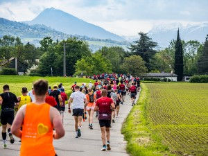SEMI-MARATHON ET SEMI FAUTEUIL